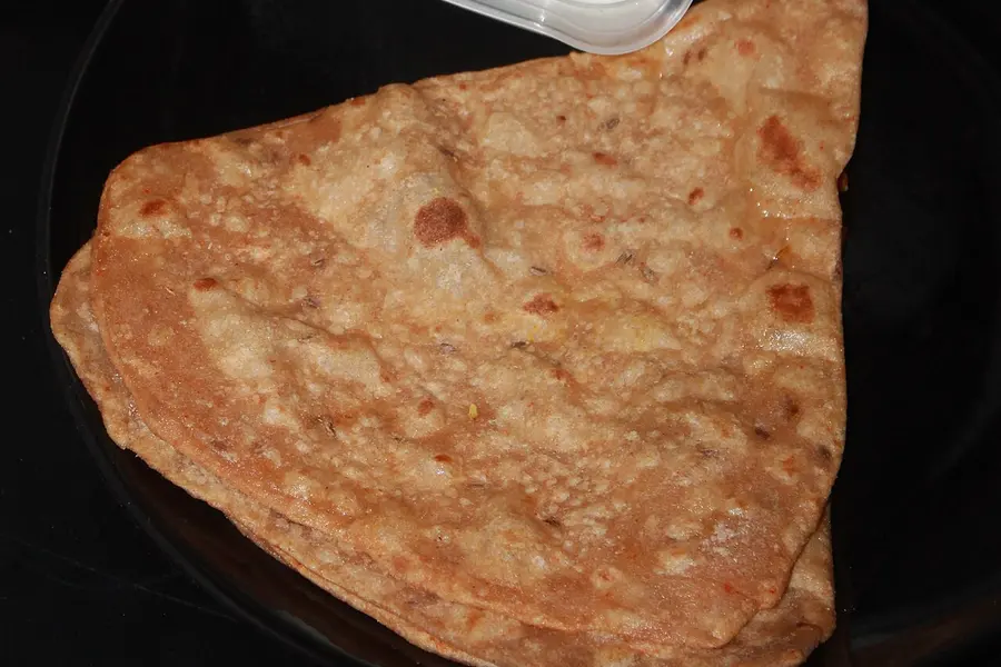 A folded triangular paratha, blistered from the pan
